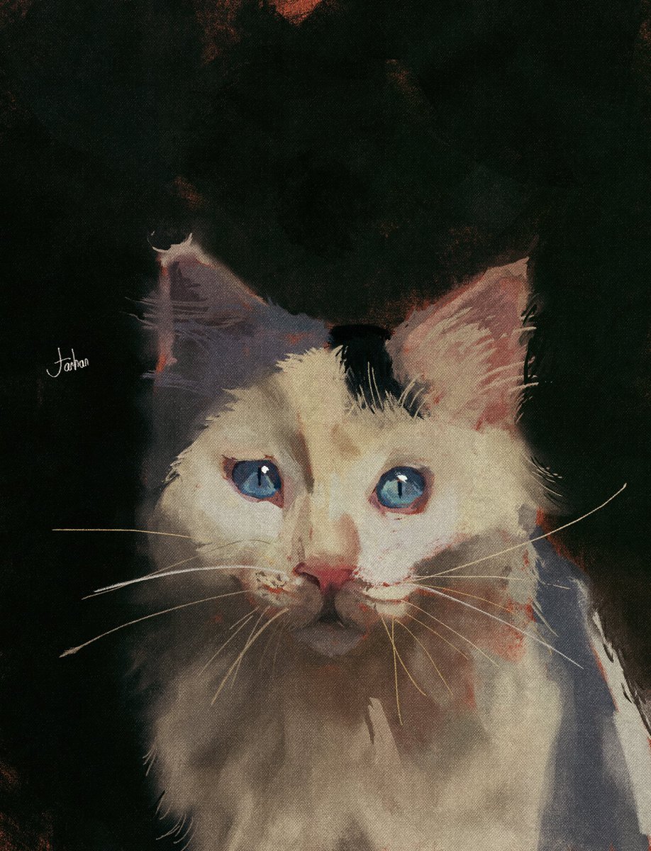 çok fazla hayvan çalışmışlığım yok ama bu miniği bi denemek istedim

“çizebildiğim kadar çiziyorum”
gün 16
kedi sketch