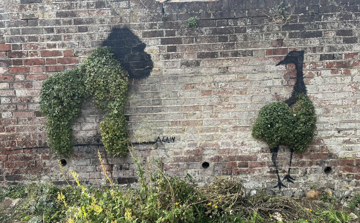 A fabulous piece of street art near Poppyland Brewery using natural foliage and charcoal - shame about todays rain #streetart #localartist #cromerartspace #cromerarttrail #poppyland #brewerylife #guythegorilla #ostrich #magic #cromer #norwich #norfolk #enjoycromer