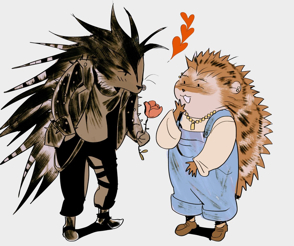 (GL) porcupine and hedgehog