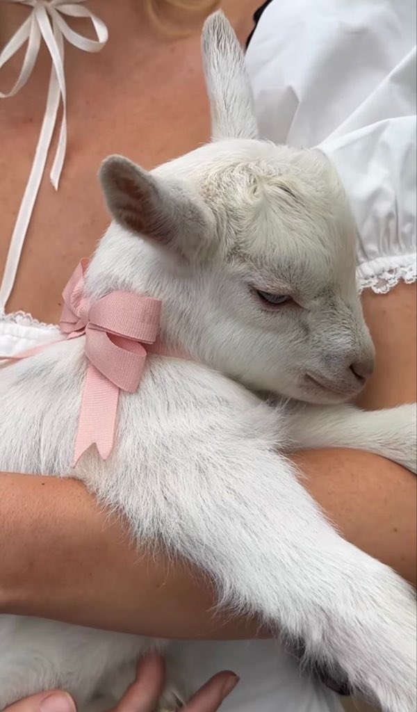quiero una yaaaaa