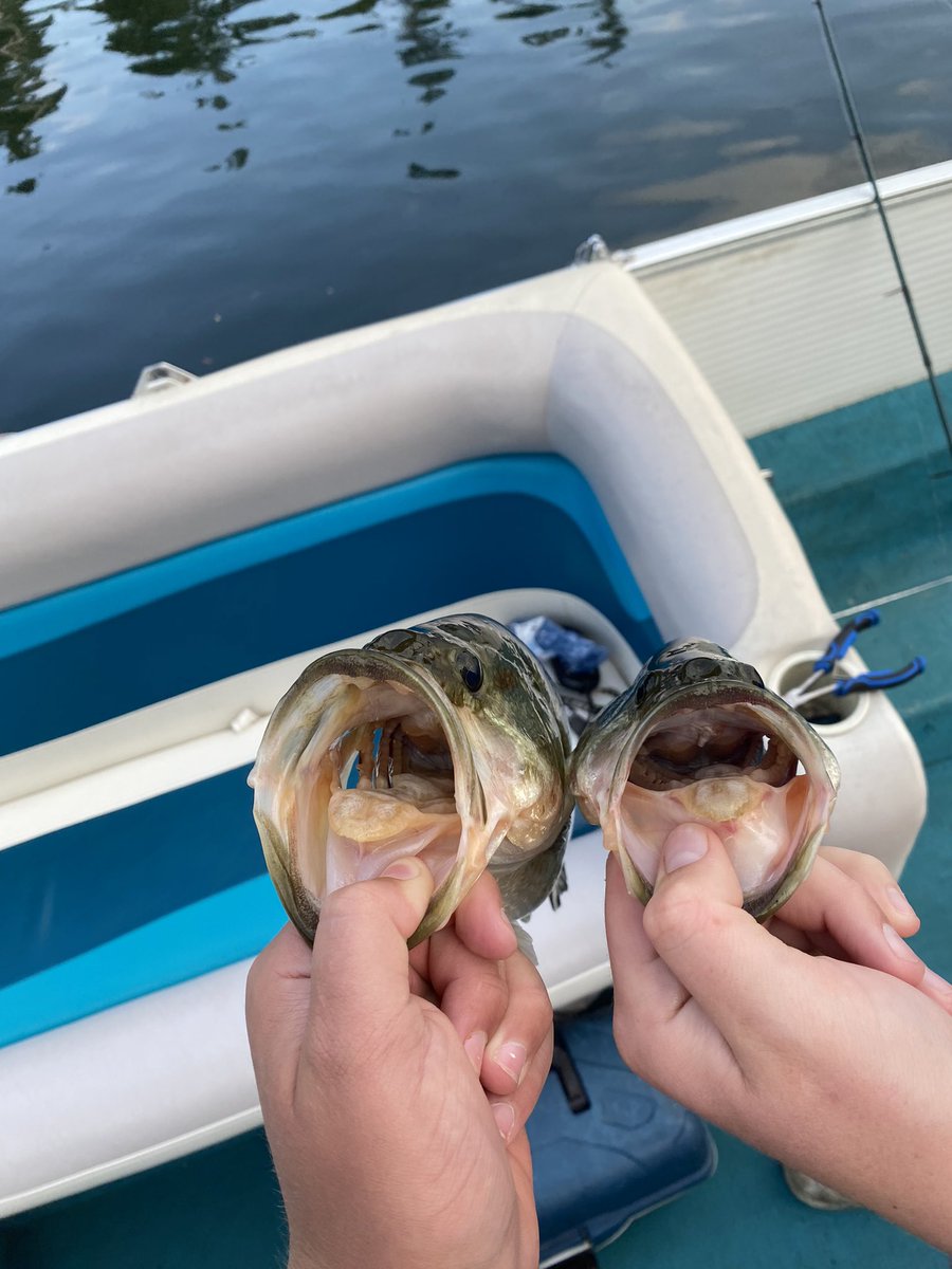 Great day of fishing