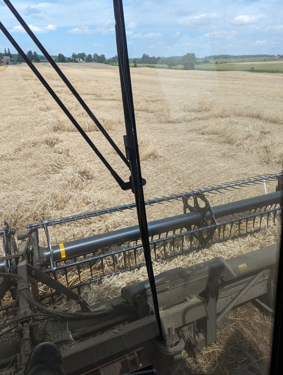 fischer_theo's tweet photo. Low and slow.Going to be a long day wacking  wheat!! #wheat23 https://t.co/LXxC0ou5yh