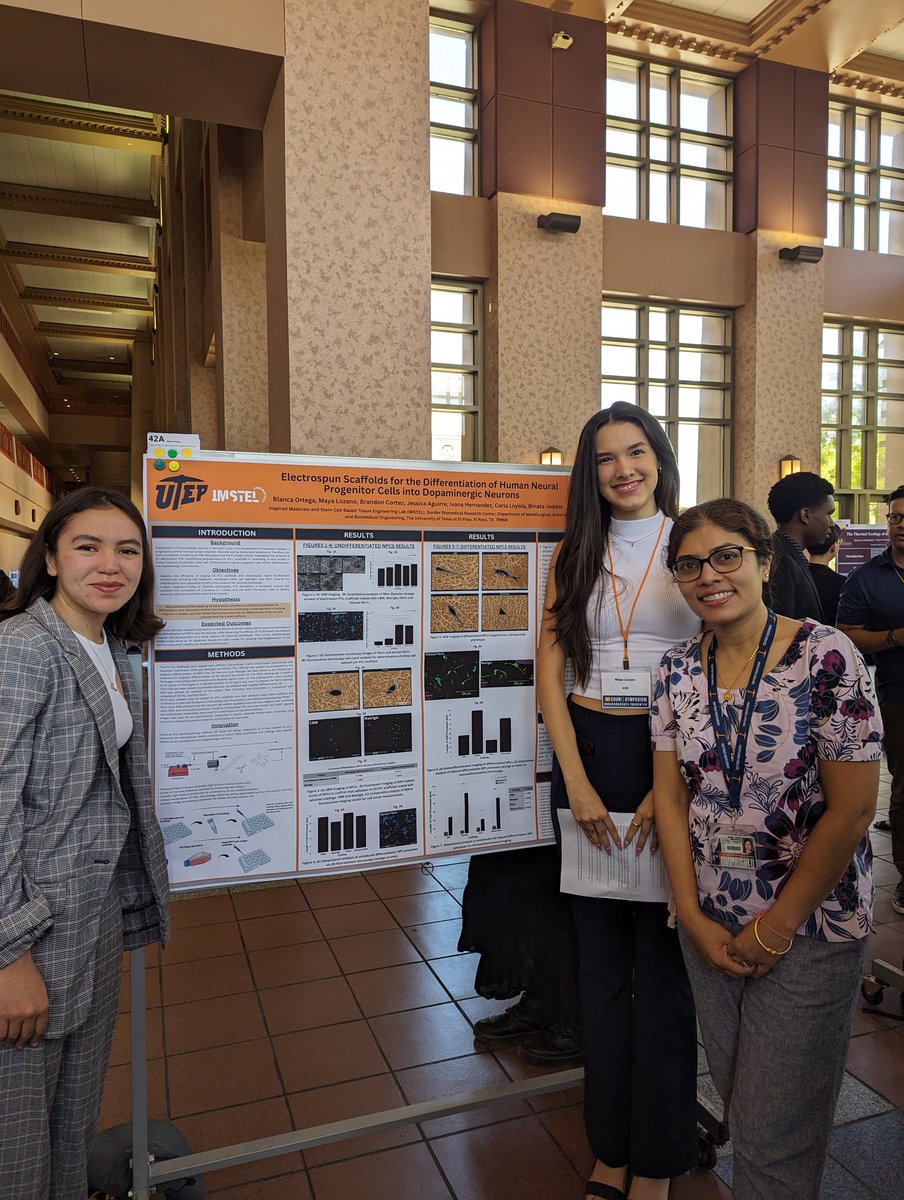 BinataJoddar's tweet photo. So proud of my #NSF #IRES @UTEPBME students to see how much they achieved in 8 weeks of summer. Final poster presentations at @UTEP #COURI today and they all did great. Thanks @DrWillerth for the tremendous motivation you all provided while they differentiated neural progenitors. https://t.co/joNZ2MMr5F