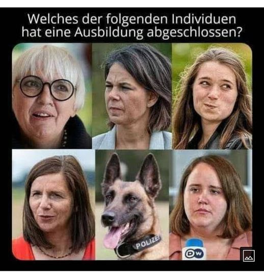 medien_tv's tweet photo. Die Frage ist, ob sie sich gegen ihre vierbeinigen Kollegen, die schon immer besser waren als einige weiße, deutsche Frauen wie unten abgebildet, überhaupt durchsetzen können? Wir denken, mit den beschränkten biologischen Fähigkeit ihrer #Koksnasen, werden sie sicher nie als #Drogenspürhunde zum Einsatz kommen, sondern bestenfalls nach der Beschlagnahme der #Drogenpfunde, aufgrund des Eigenverbrauchs, sicher nicht mehr in der #Asservatenkammer ankommen oder was meint Ihr?
