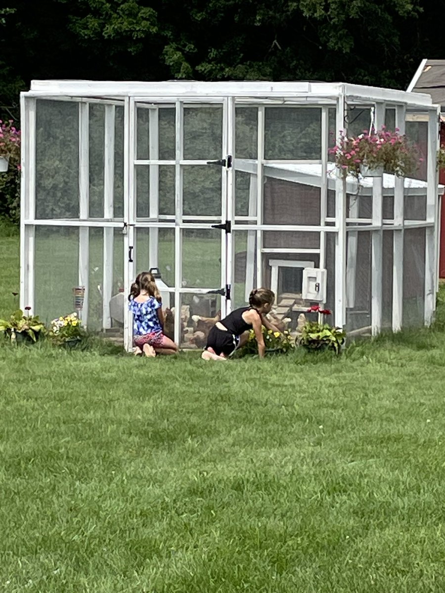 ROVpalau's tweet image. I had helpers this morning at the school.