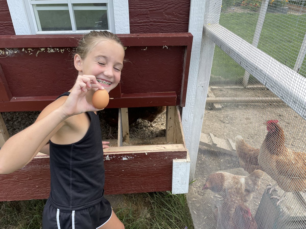 ROVpalau's tweet image. I had helpers this morning at the school.