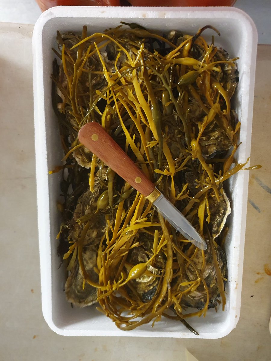 Lovely new #Oyster #knives for world oyster day