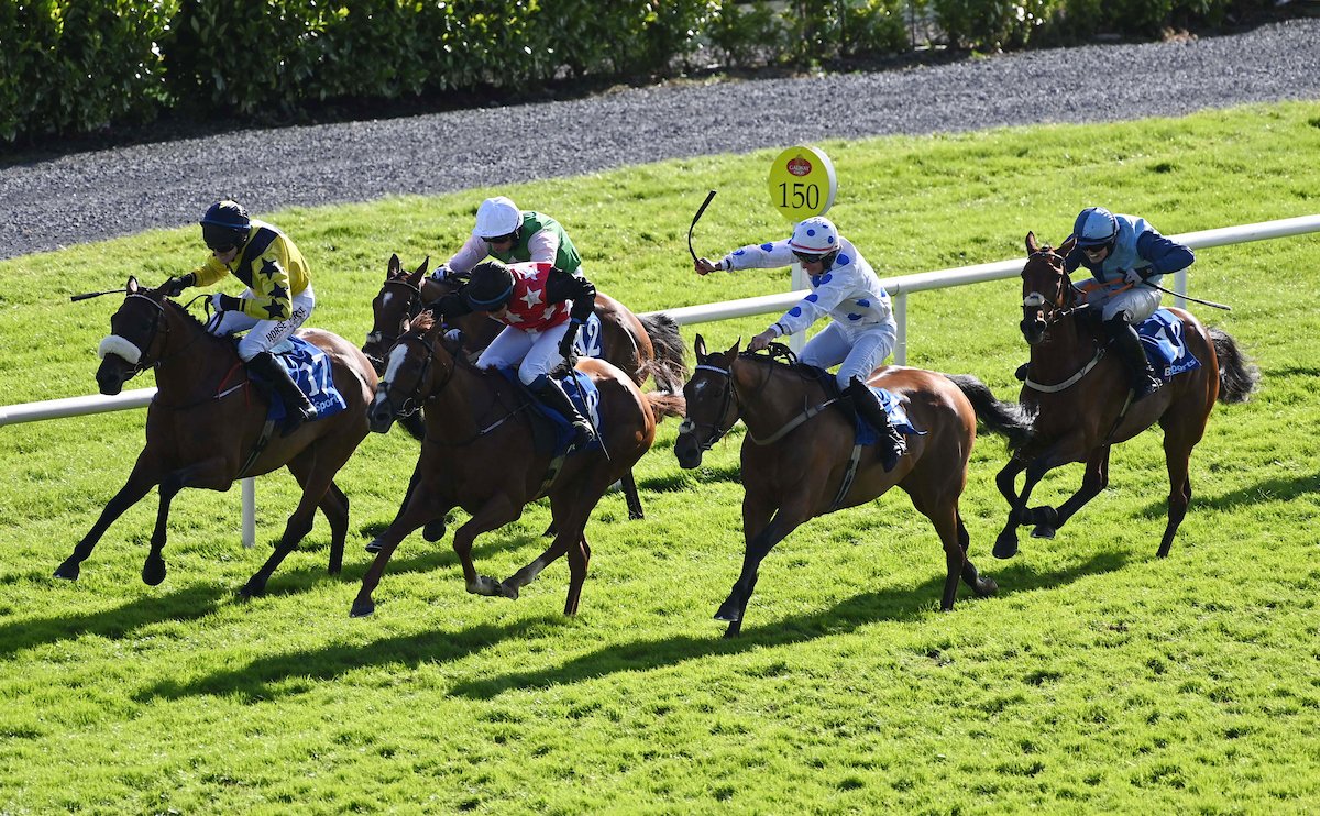 Galway_Races's tweet photo. 🏆8th race: The Irish EBF Mares Flat Race
Won by: Fortunate Lighting (white blue spots)
Trained by: C Byrnes
Ridden by: Mr. R W Barron
Owned by: Philip McGee
👏Congratulations from all the team at Galway Racecourse
#GalwayRaces #RarinToGo #LetsRace https://t.co/mETsc3QVpk