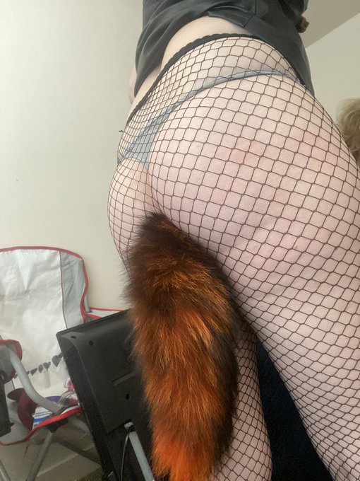 We love our catgirls and fox girls and pup girls. But I&rsquo;m personally the itty bitty kitty committeeee