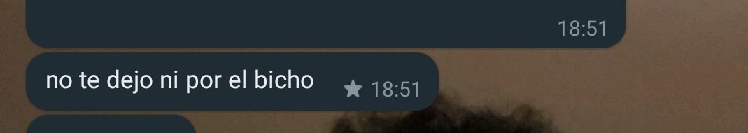 lo he conseguido