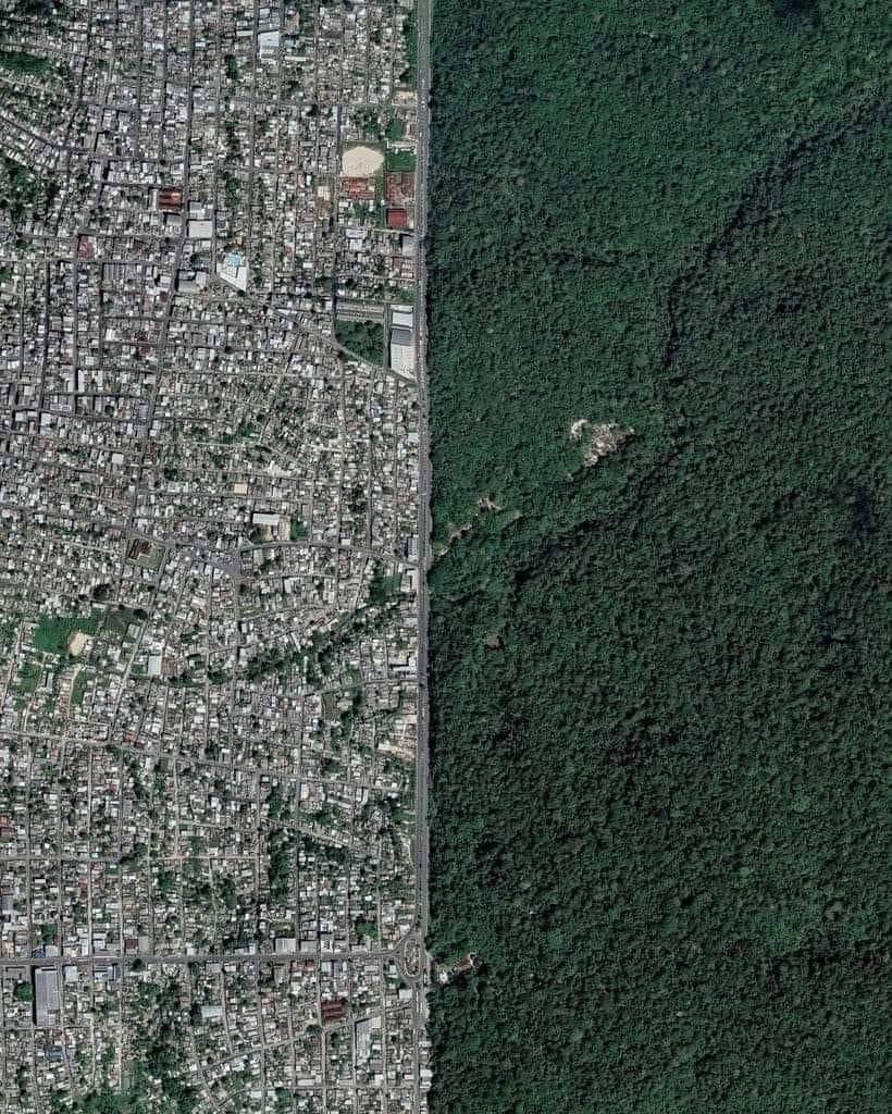 LibraryPocket's tweet image. The satellite image captured shows the perfect division between the urban area and the Amazon Rainforest in one of the regions of Manaus.
smallpocketlibrary.com
#Book #Medicine #universe #Science #Anatomy #Biology #Chemistry #university #Infographic #picture #photography #Animal