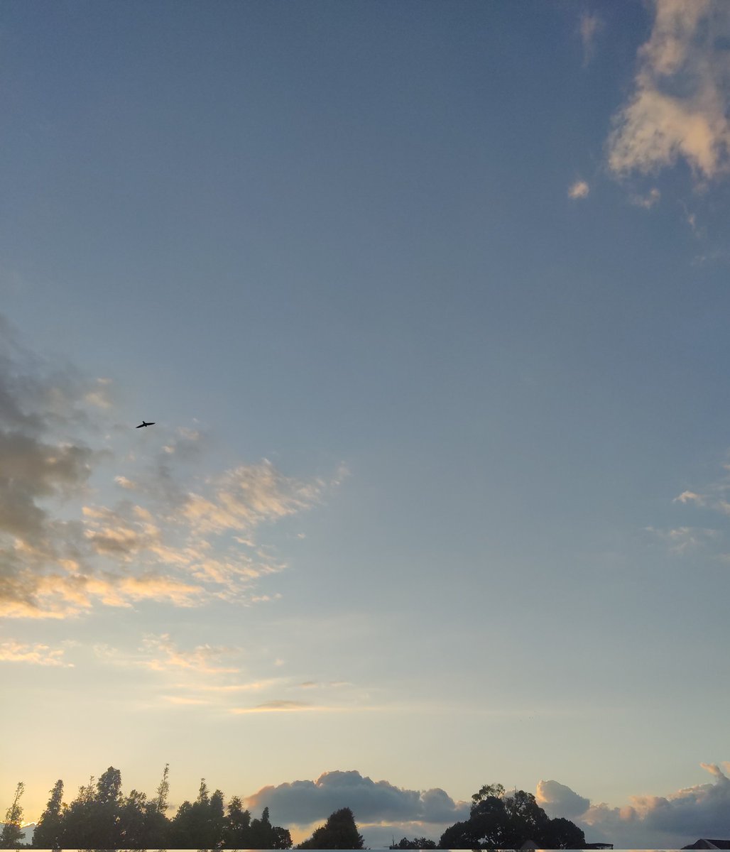 simasanggit's tweet photo. @convomfs Karena pada dasarnya suka sama langit, so here's some of good sky view (from my perspective). https://t.co/74d61jVXrc
