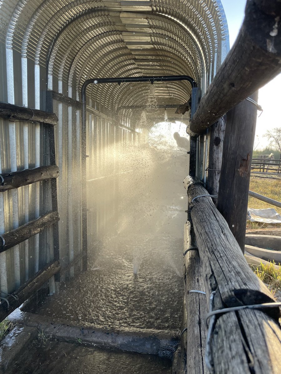 ScrubbsFarm tweet media