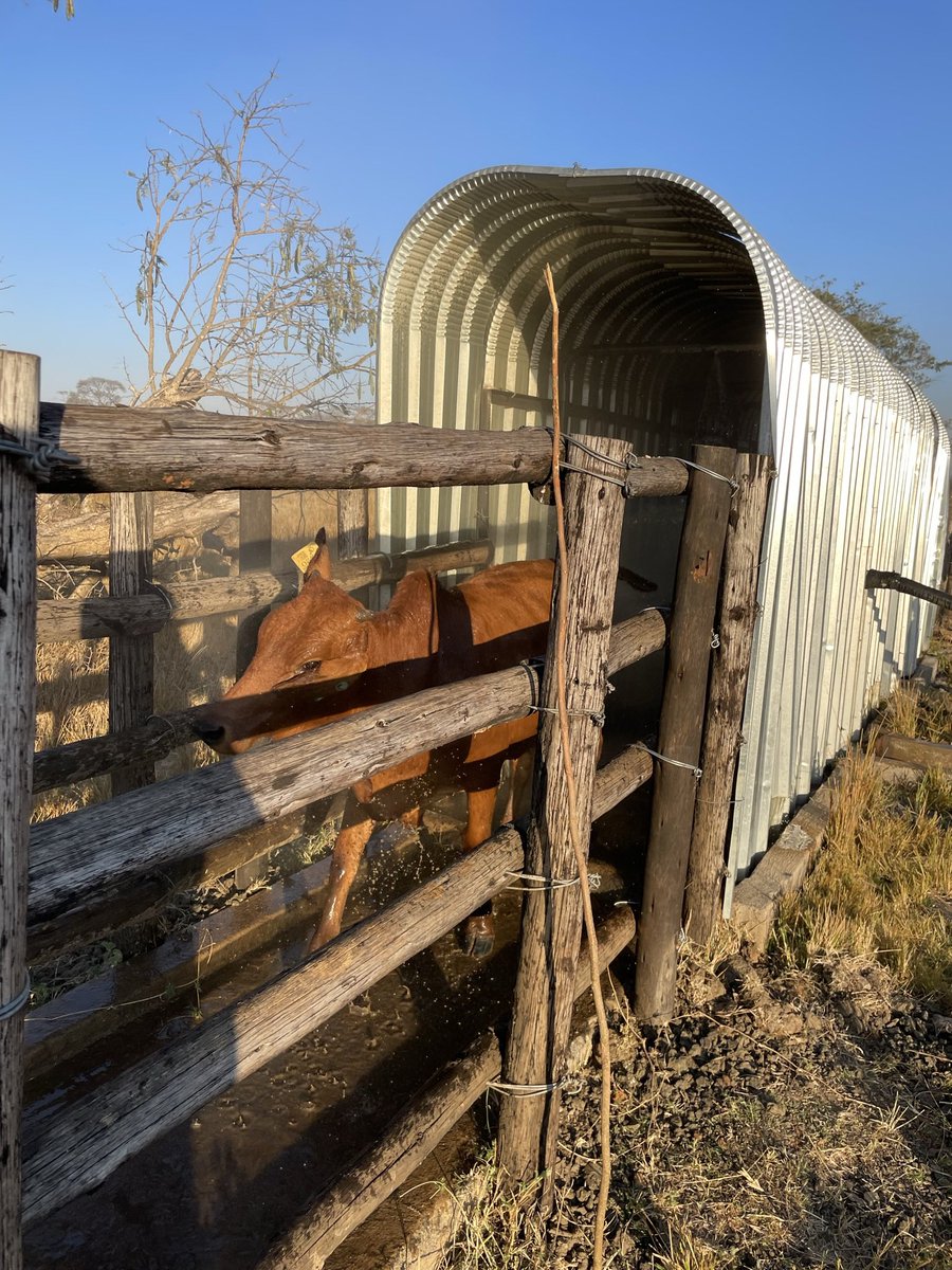 ScrubbsFarm tweet media