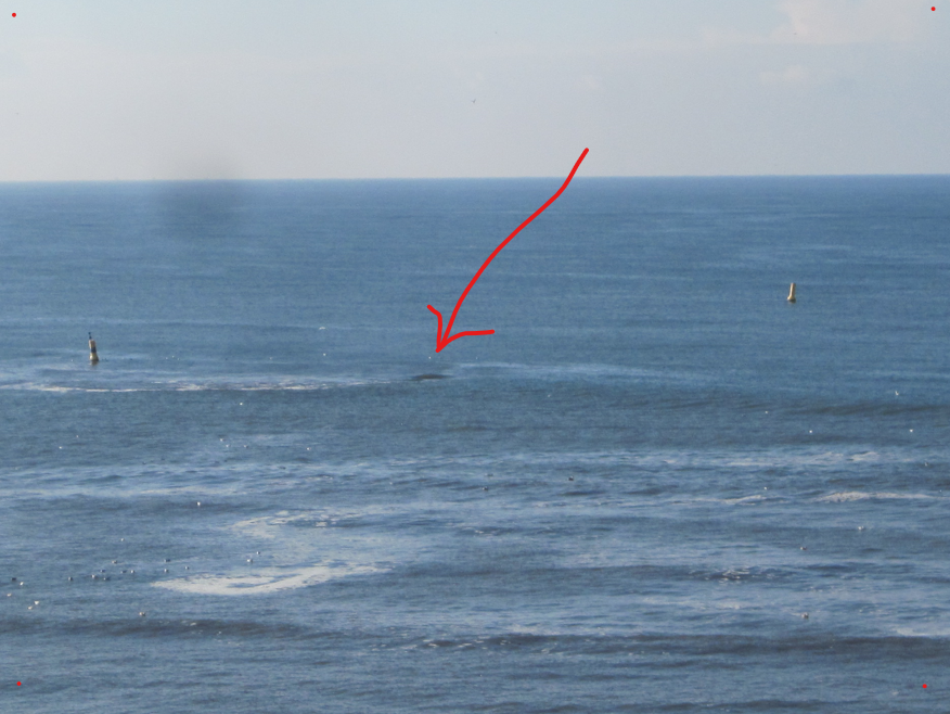 AWTexel's tweet photo. @frankraapy @klaasm67 @CeesMeeldijk De meeste zijn opgeblazen. En bunker de zee in duwen behoort tot het rijk der fabelen. Bij Paal 9 ligt nog een bunker circa 1200 mtr vanaf het strand in zee. Bij extreem laagwater komt ie af en toe bovenwater uitsteken. Groet van #Texel https://t.co/kVUgYPA5E0