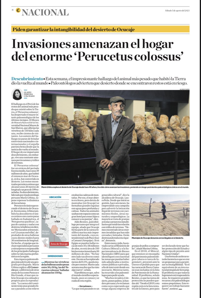 Bruno Ortiz B. (Blogdenotas) tweet media