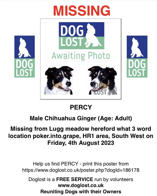 RachaelB100's tweet photo. Percy is a #Missing #Chihuahua in the Lugg Flats Area of #Hereford #HR1 
#Chipped #ScanThatChip 
@YourHereford1 @HerefordVoice @HfdsCouncil @bbchw @herefordtimes @HiddenHereford1 @HereforHereford https://t.co/5VcHuNEvPN