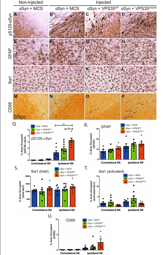 The Science of Parkinson's tweet media