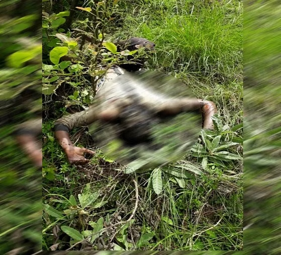 MrKhan780399010's tweet photo. J&amp;K : One terrorist has been eliminated in an ongoing encounter in #Rajouri, ops still on.
#JammuKashmir 
#IndianArmy 
#RREffectiveForce 
#operation https://t.co/I1rIxKS2qd