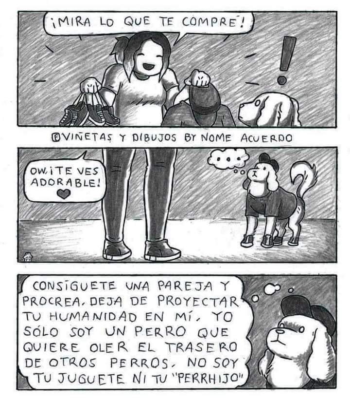 estradelirius's tweet photo. No más pa la foto ¿No?
#Palface https://t.co/KkLxCuAtEG