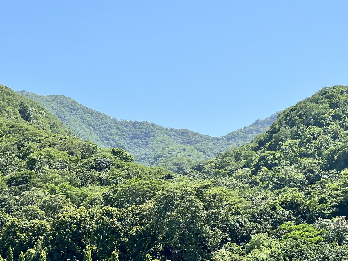 jschacher's tweet photo. Los paisajes que se ven en Honduras en Julio son realmente especial! https://t.co/0ZmNu6Xt25