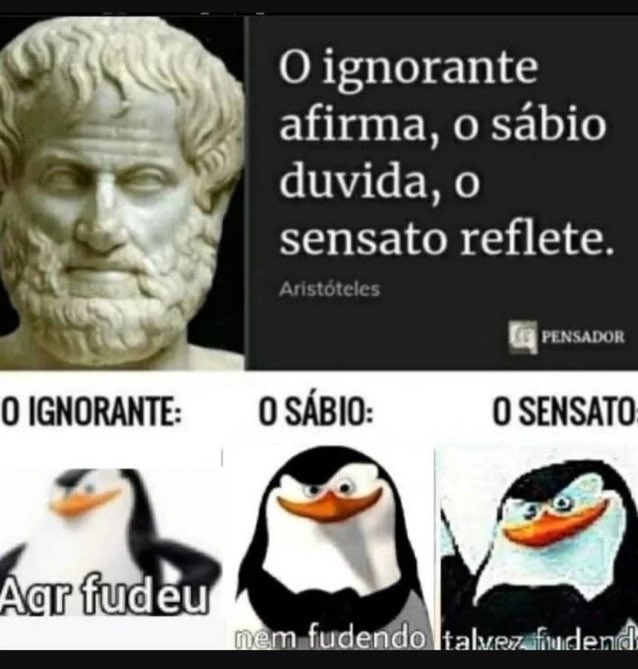 memes com graça nenhuma (@memesnenhuma) on Twitter photo 