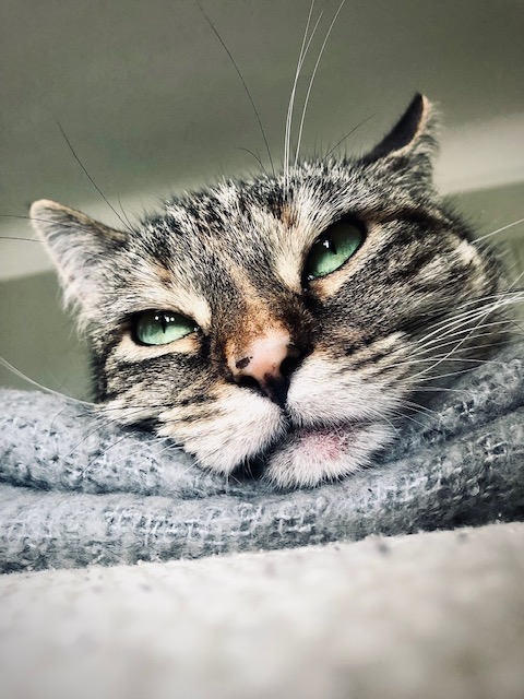 rickygervais's tweet image. “The purpose of life is to live it, to taste experience to the utmost, to reach out eagerly and without fear for newer and richer experience.” - Eleanor Roosevelt