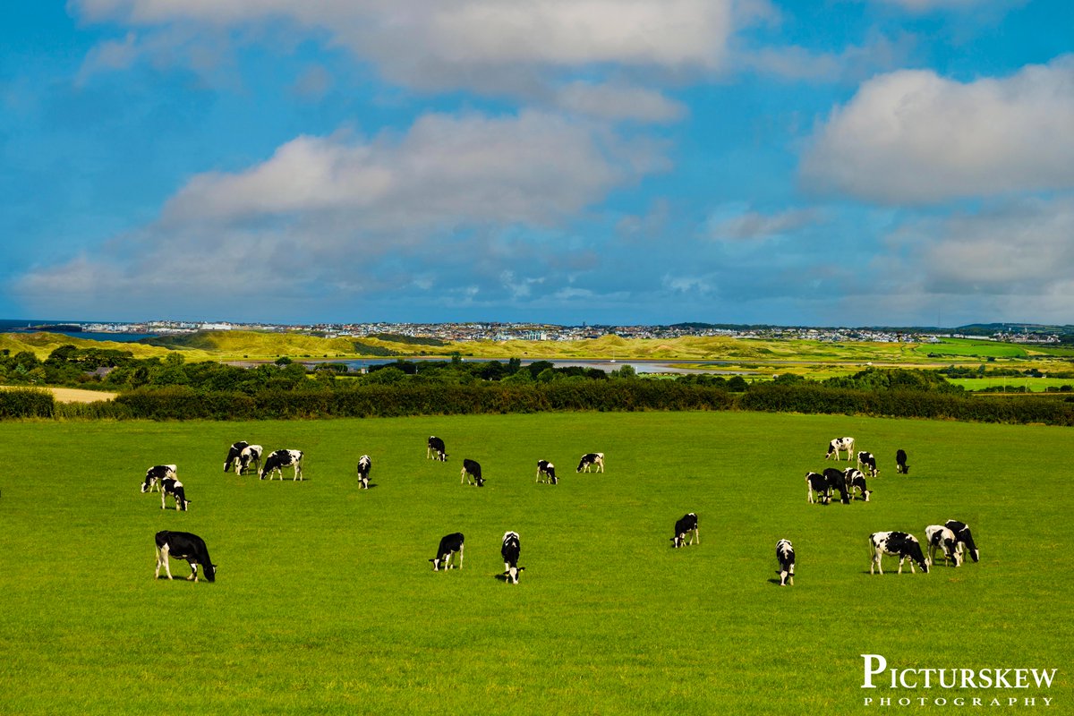 This is a view I often see but never had the time or opportunity to stop and photograph it. Well, can't say that now ☺  The River Bann with #Portstewart in the distance. @VisitCauseway @WeatherCee @LoveBallymena @Beyond_Antrim @TasteCauseway @barrabest @GillMid1 #Calendar