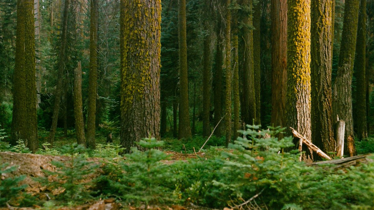 The end of the summer