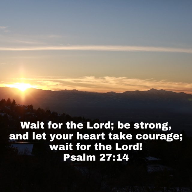MJMurph's tweet image. Let’s look to our Heavenly Father with complete dependence and trust. He will grant us the strength and courage to walk in the fullness of our calling and appointment.