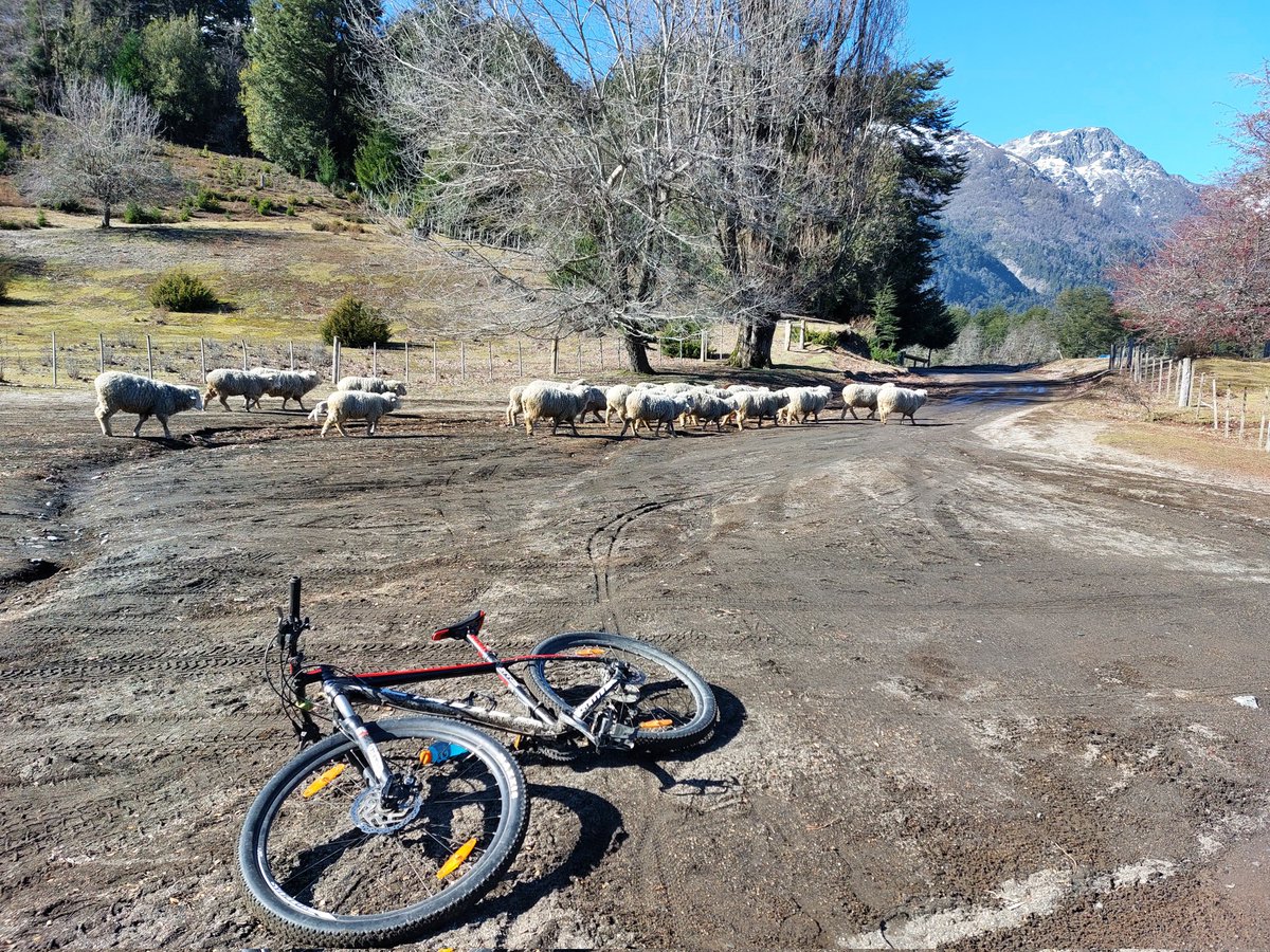 CichoDan's tweet photo. Camping 7 lagos! Sábado pedaleando por Villa la Angostura https://t.co/pAUWOJydc3