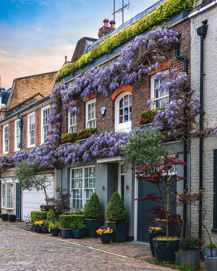 London, England 🏴󠁧󠁢󠁥󠁮󠁧󠁿