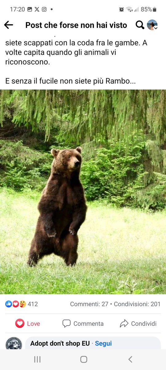 robertamorasco1's tweet image. #caccia #cacciatori solo una bella montagna di 💩