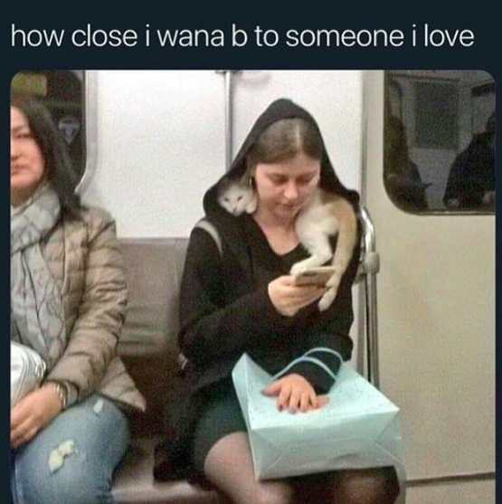 WholesomeMeme's tweet photo. https://t.co/wiEdTQhfB9