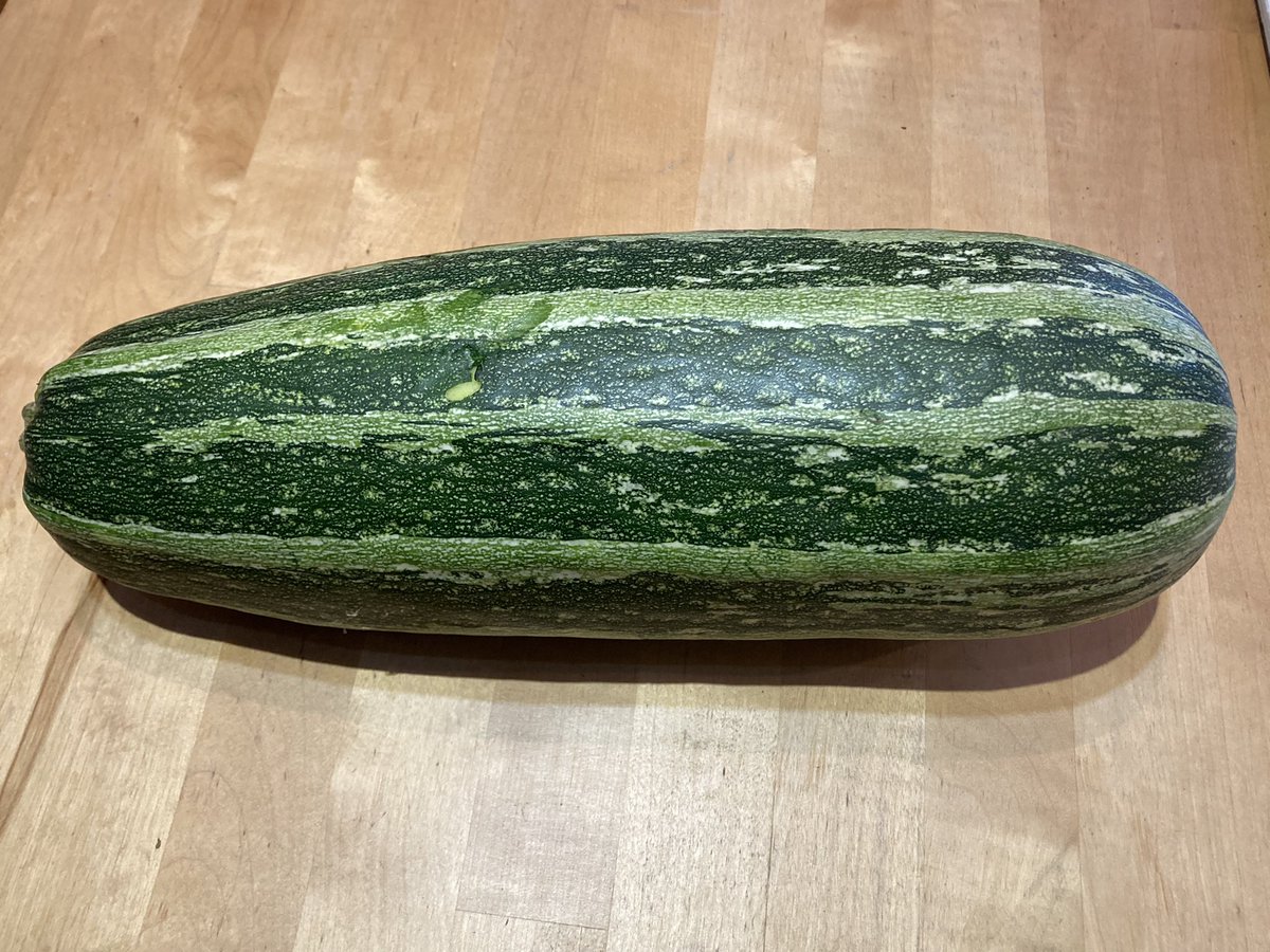 Darren Hayman tweet media