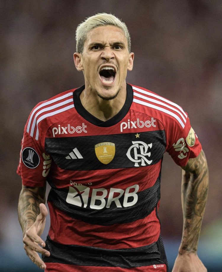 🚨 Benfica apresenta uma proposta de 18 milhões de euros ao Flamengo por 80% do passe de Pedro, de acordo com o jornalista <a href="/GerGarciaGrova/">Germán García Grova</a>.