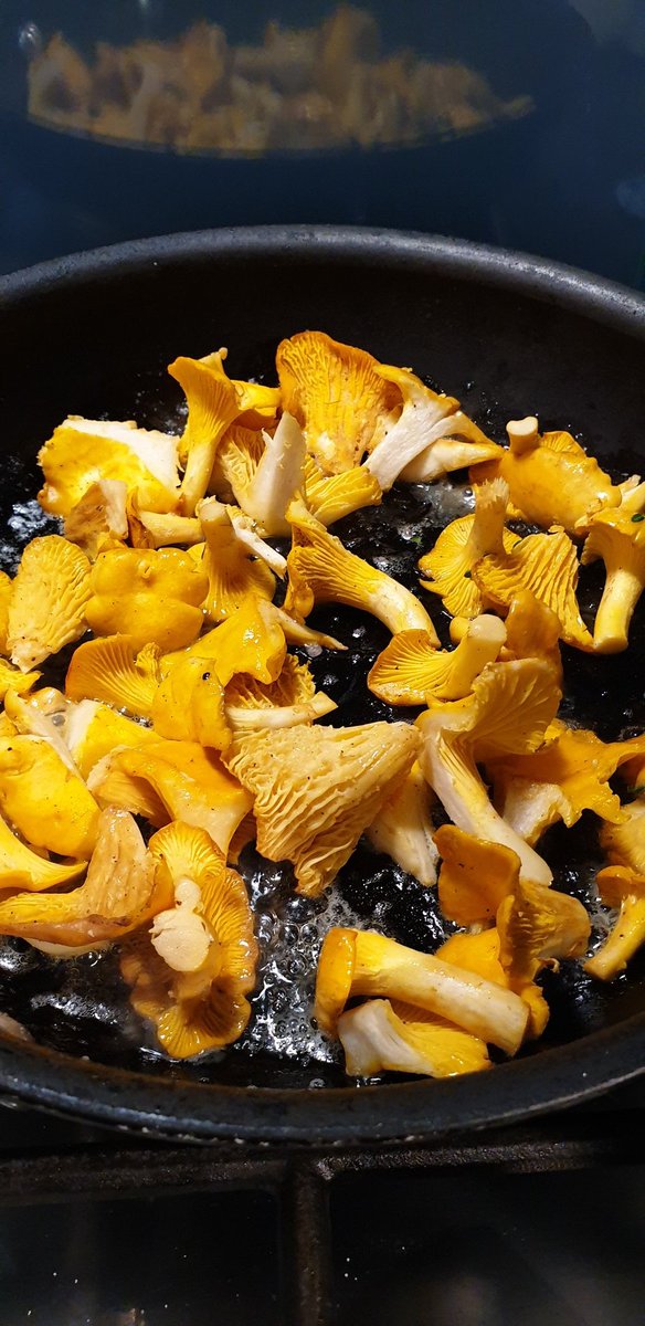 It's that time again

#greatoutdoors #wildfood