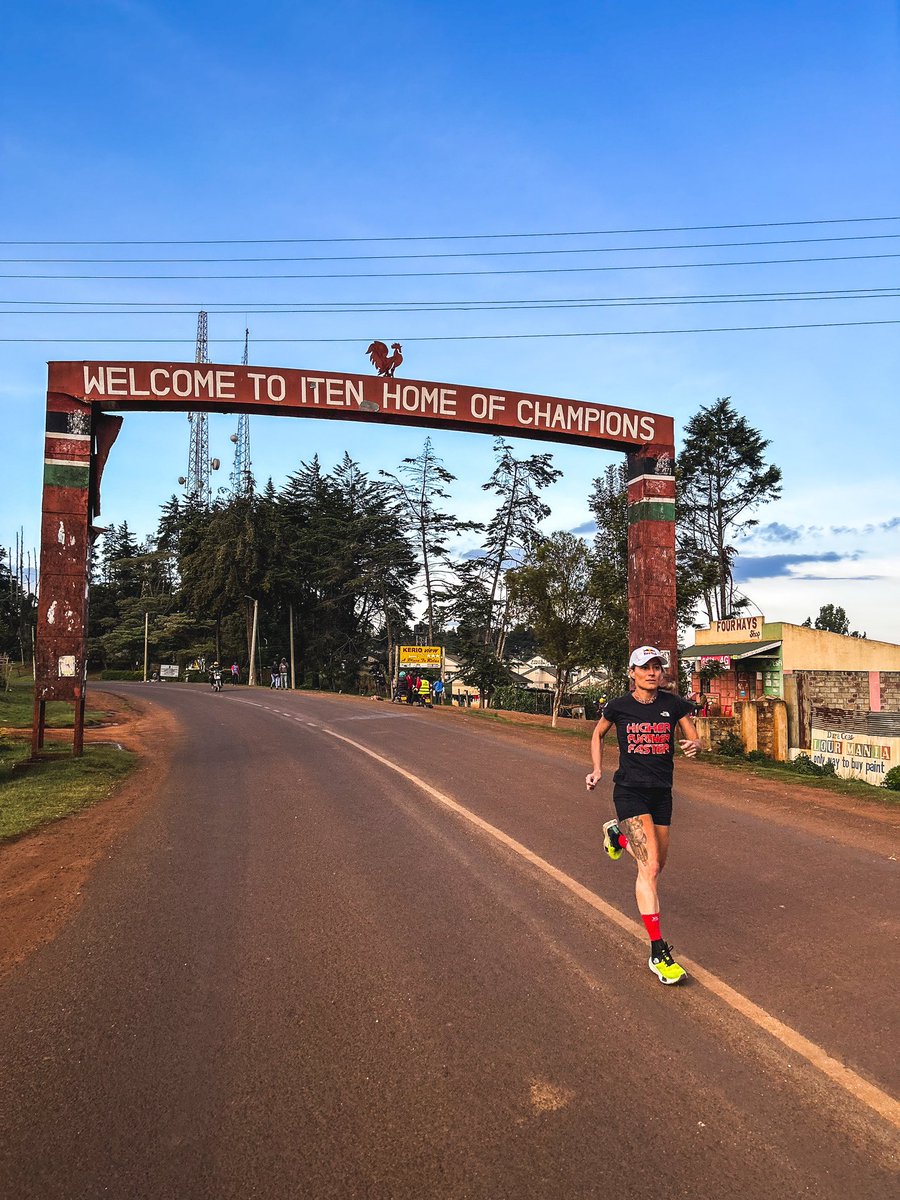 Fernanda Maciel tweet media