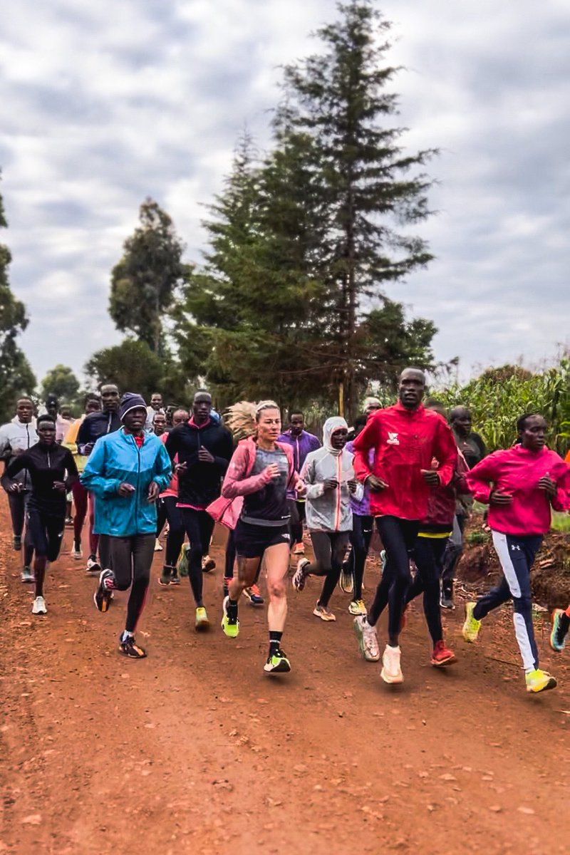 Fernanda Maciel tweet media