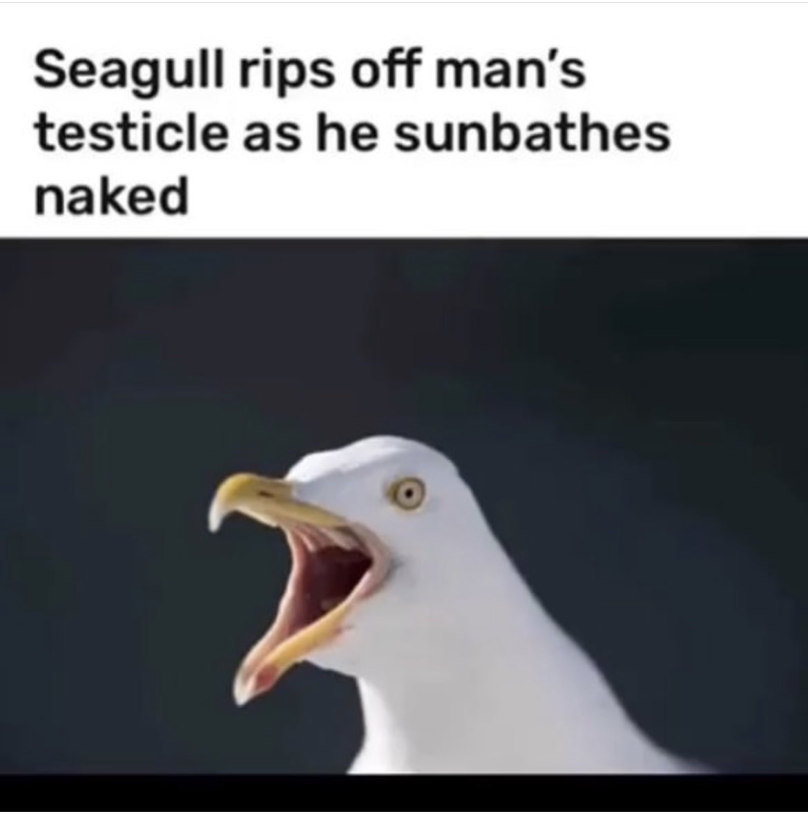 Warren Kinsella tweet media