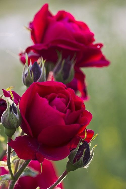 WhetherMe tweet picture