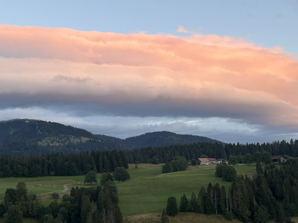 Wim Eikelboom tweet media