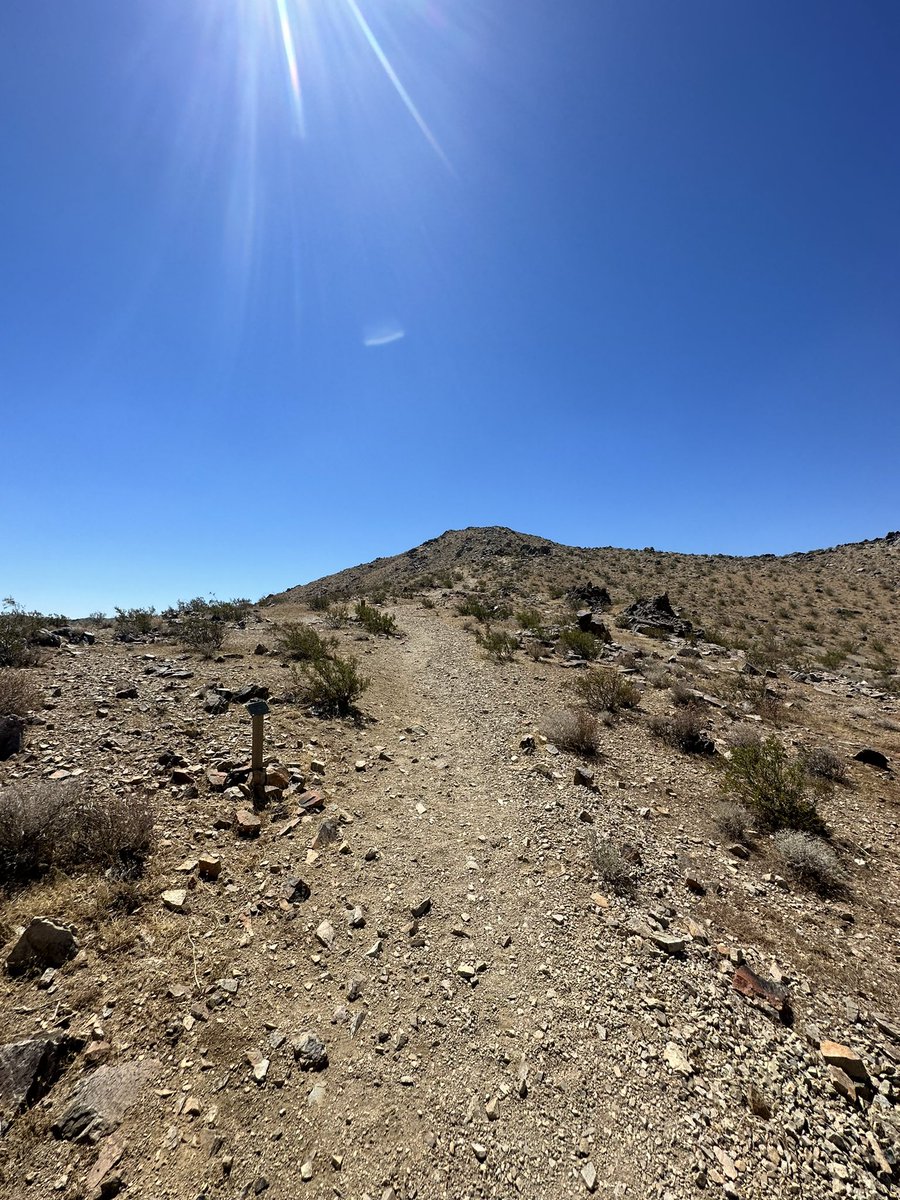 NatashaSwartley's tweet photo. Fueled by waffles, whip cream and patriotic sprinkles! 🧇🥰
Some old stomp grounds- 4 years ago. 
Love these trails! 
100* and not adjusted to this climate. Kept it short and brutally fun! 
#desertrun #primalrunathlete #primalruncoaching #keapeak #gluttonforpunishment #runfun https://t.co/OWiMzrKEVu