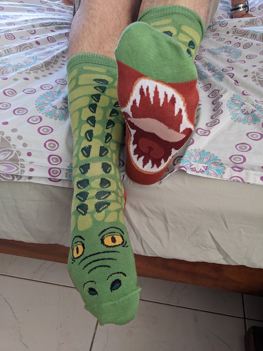 pertuzluisfer's tweet photo. On a weirder and different subject.

#SocksRock
#TeamSockNRoll

New awesome 🐊 🧦! https://t.co/p8PuKJtKIT