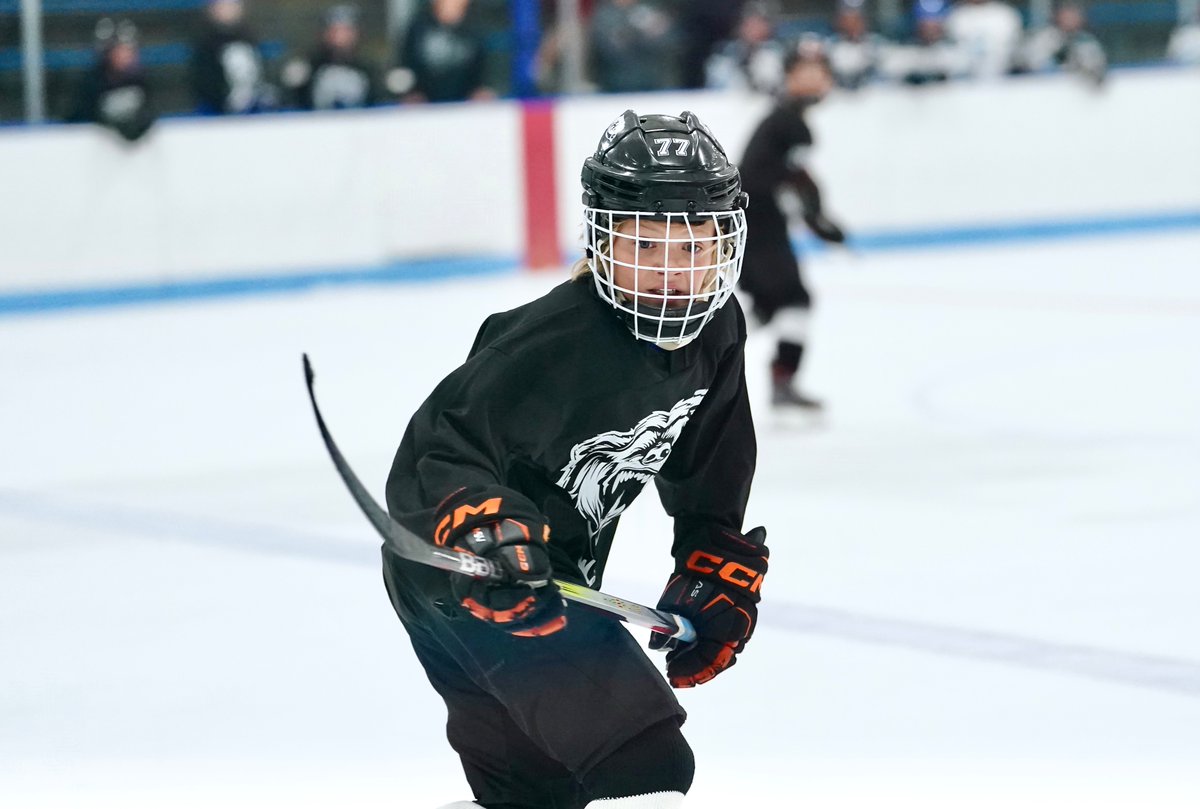 YouthHockeyHub's tweet photo. 2023 AAA State 
2011 

Black Bears > SDP Premier (1-0) 

Noah Alemdar turns away all 18 shots to earn the shutout and Player of the Game honors for the undermanned Black Bears squad https://t.co/EiSNPDG5go