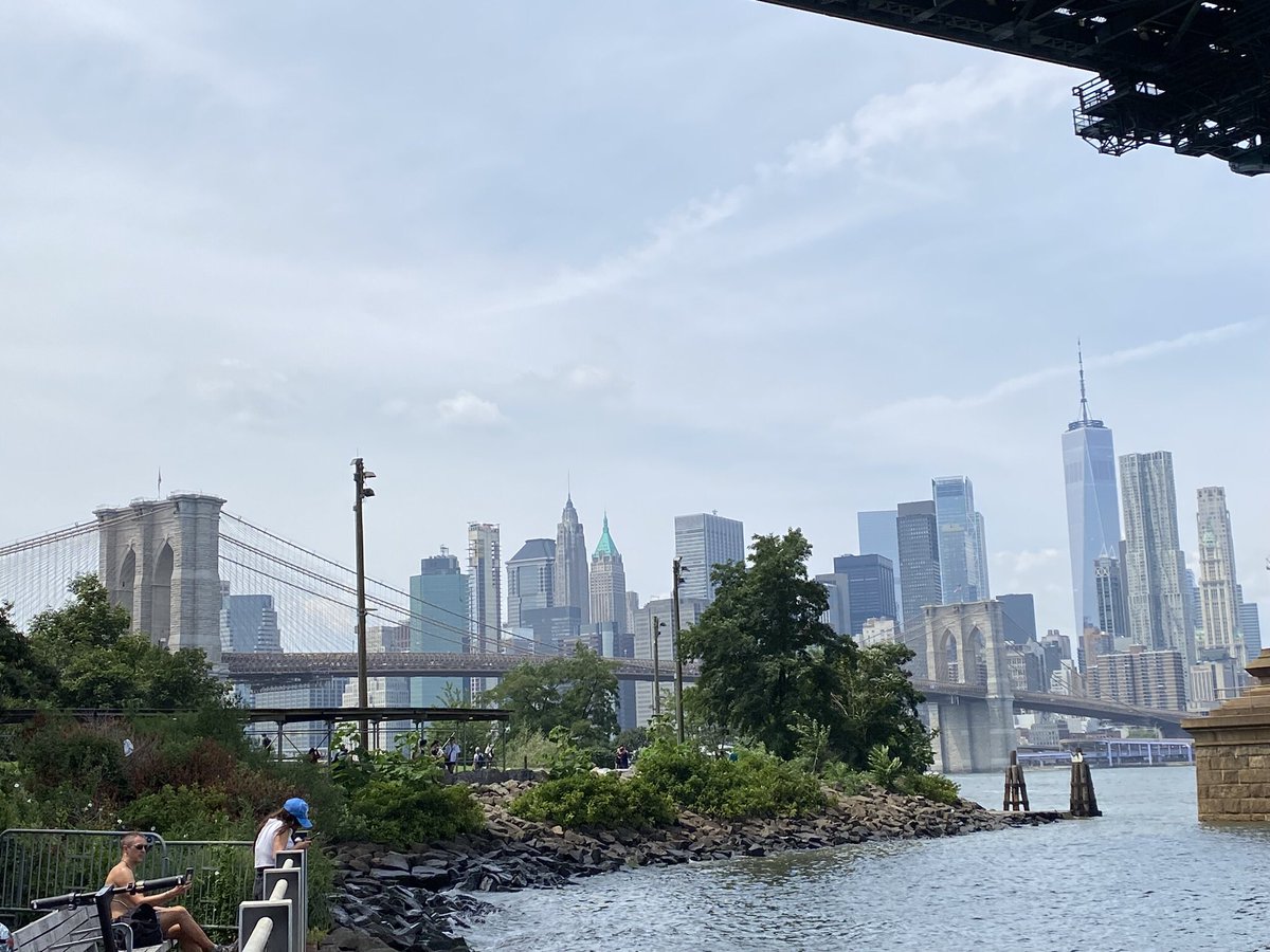 Vero Giardina tweet media