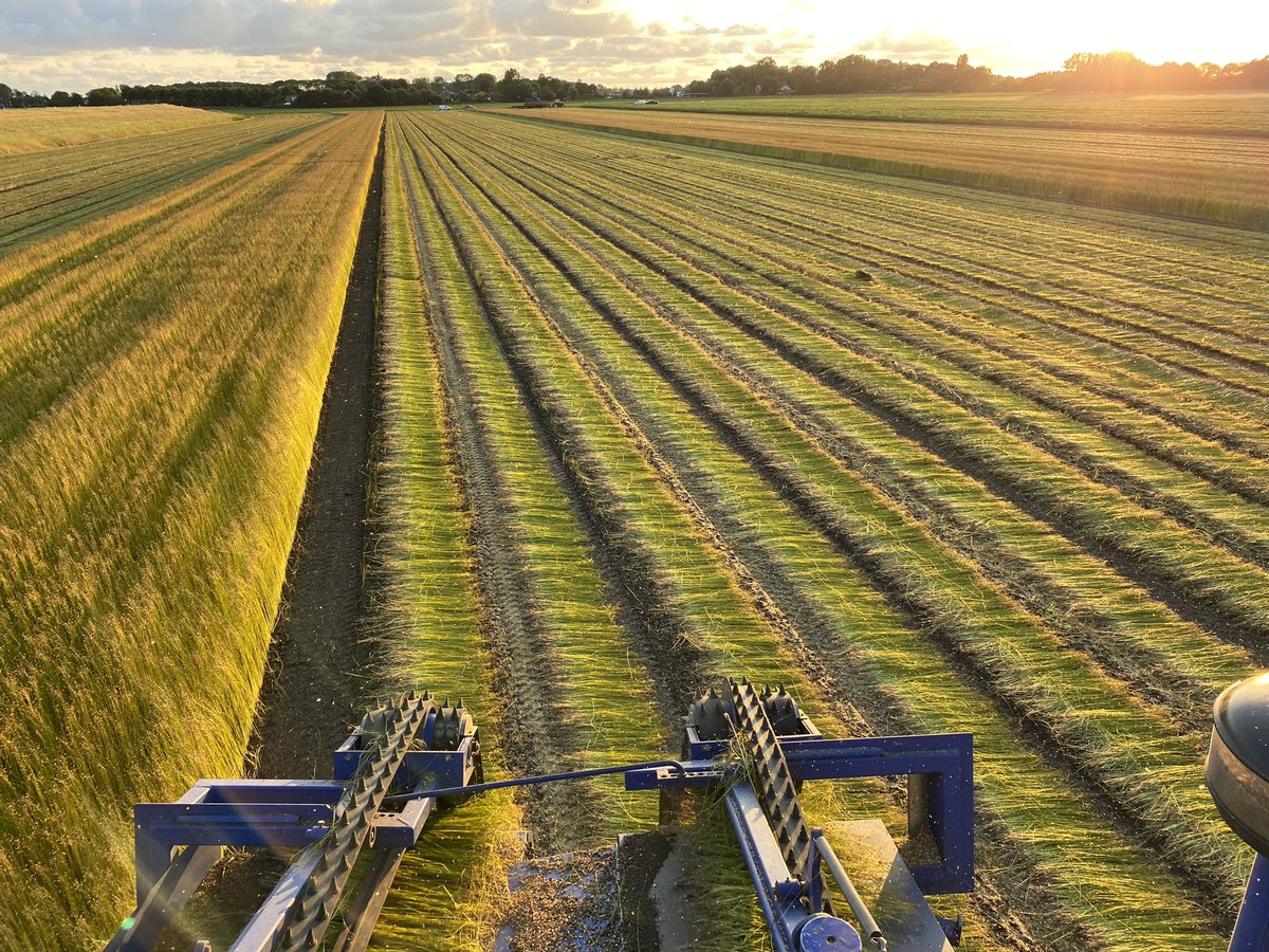 Timmers Agro Service tweet media