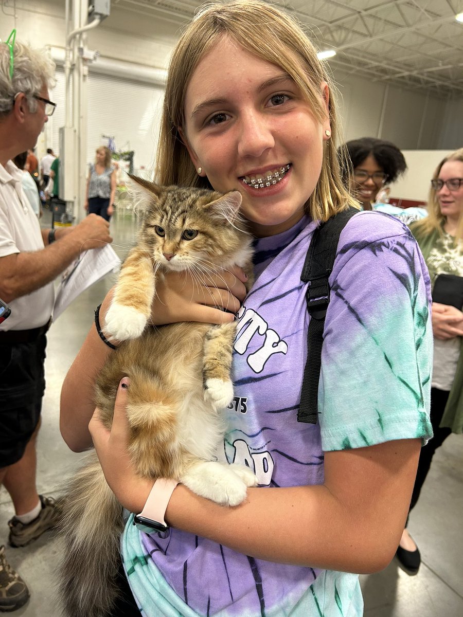 orygunjule's tweet photo. @MoppyOpps @KittCrusaders I took my daughter to a cat extravaganza last weekend in Northern Virginia and she fell in love with several cats. ❤️ I can not show her this post. She will want both of them. 😂 https://t.co/qsObECTyin