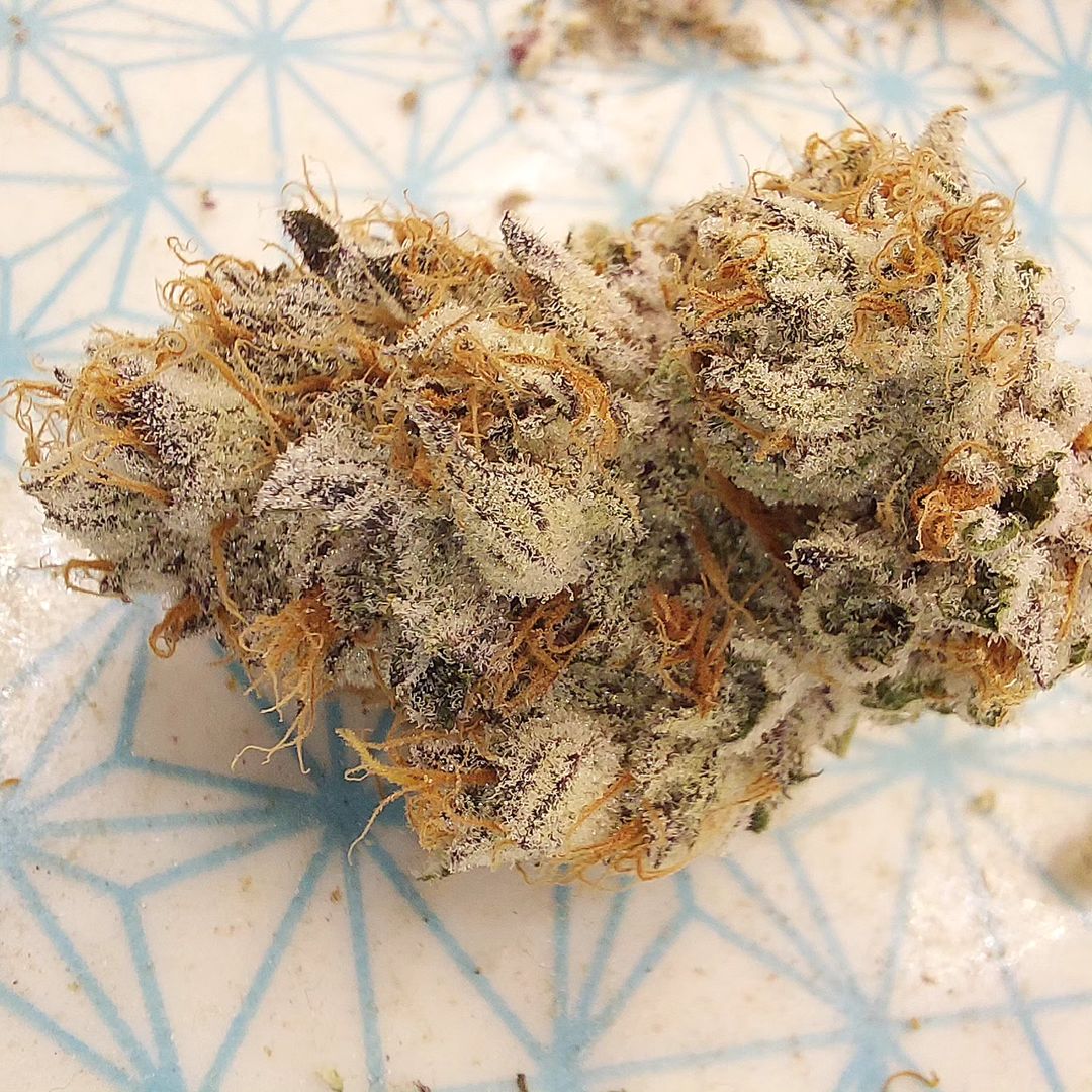 😱😱
#CannabisCultivation #CannabisCommunity