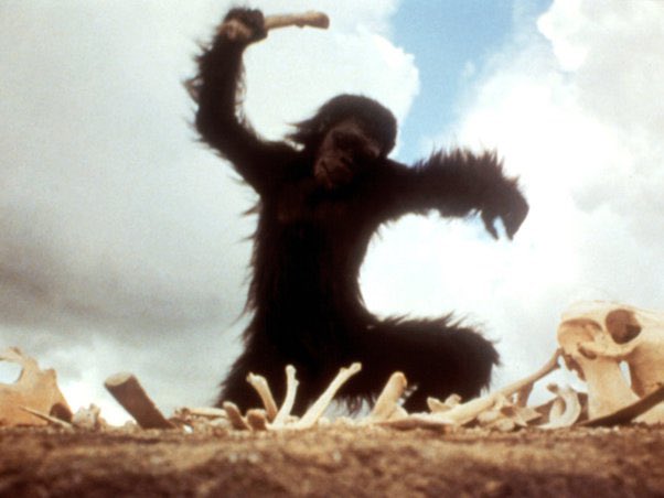 Rachel Hybart, PhD tweet media